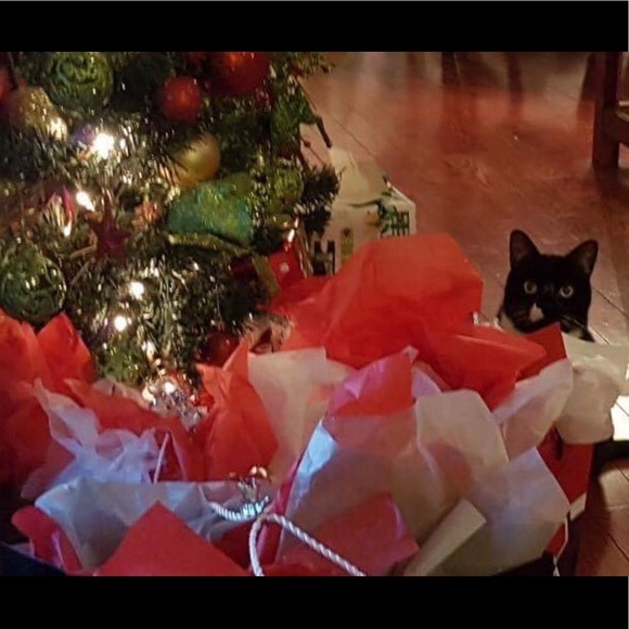 Meet your Posher, Ginette - Picture 1 of 1